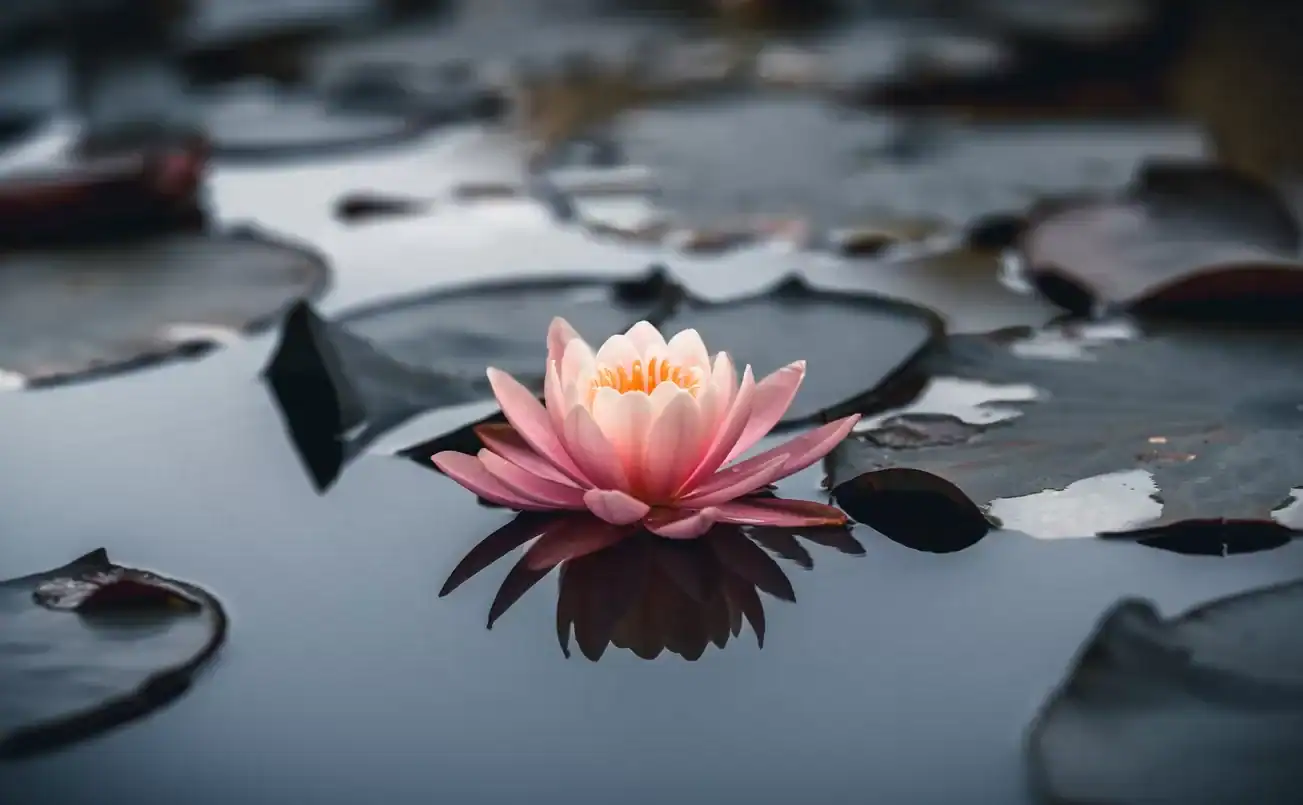 Was stoicism influenced by buddhism?